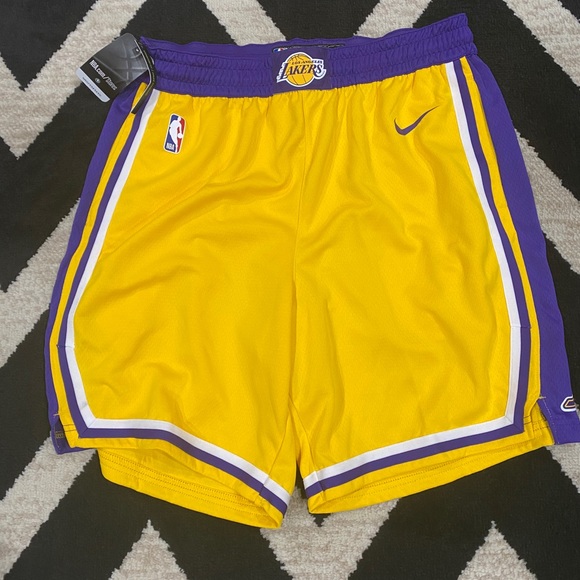 Nike Other - Los Angeles Lakers Nike Basketball Shorts